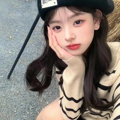 动物宝宝